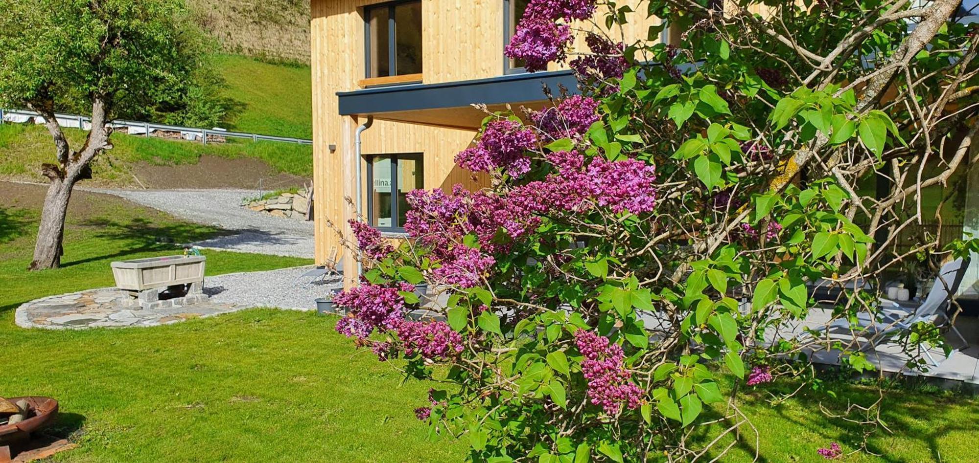Villa Haus Valtellina Galgenul Exterior foto